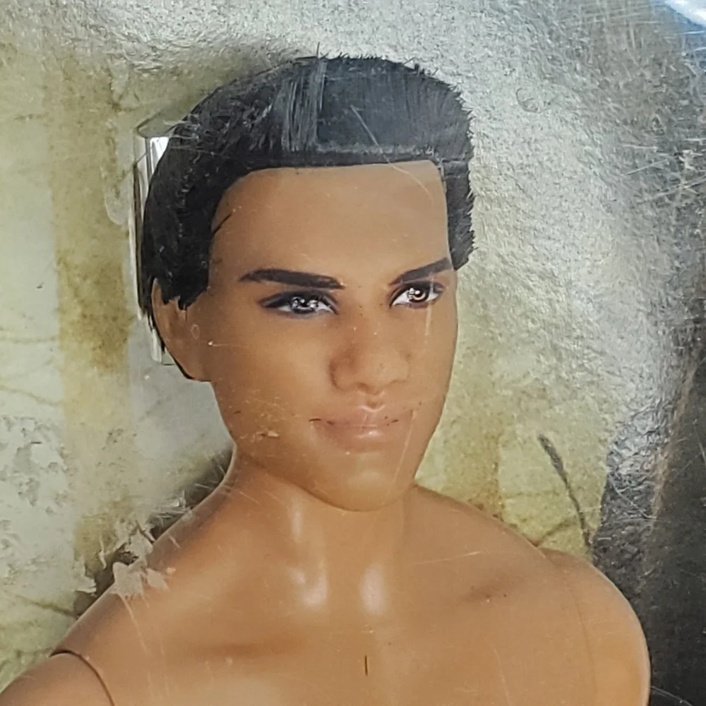 BARBIE TWILIGHT SAGA NEW MOON - JACOB BLACK Collector Doll 2009 - New in Box. - Picture 4 of 13